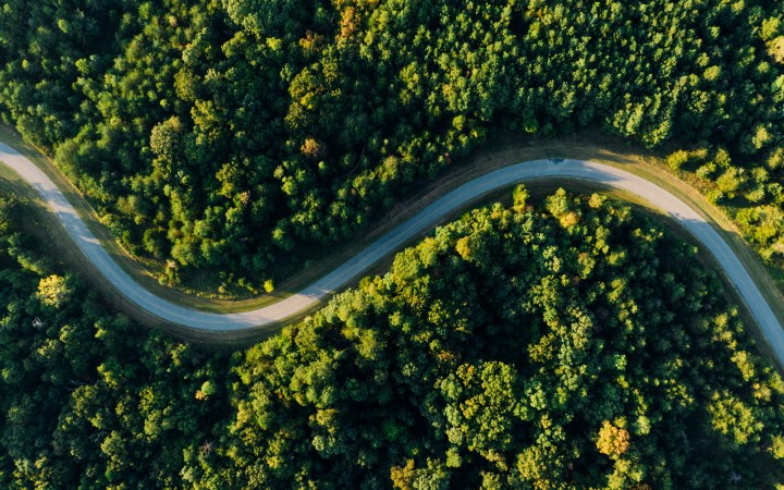 Deserted winding road in the middle of a forest